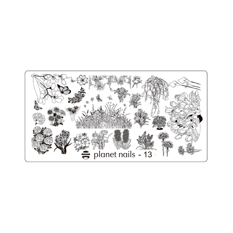 картинка Пластина для стемпинга Stamping Nail Art  Planet Nails №13 от магазина Каприз